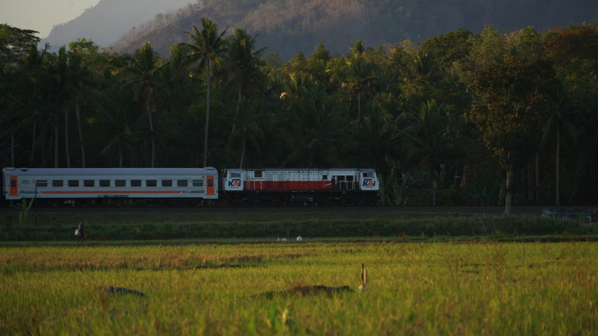 Batas Selatan: Rel Kereta Api & Persawahan